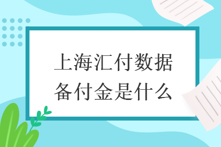 上海汇付数据备付金是什么