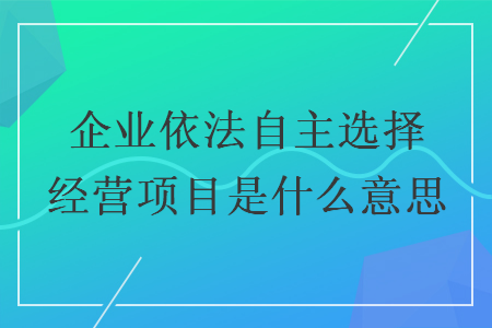 企业依法自主选择经营项目是什么意思