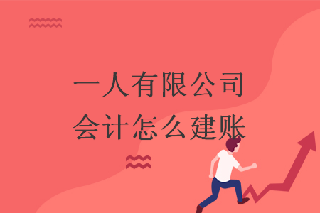 一人有限公司会计怎么建账