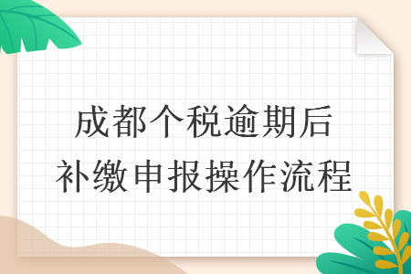 成都个税逾期后补缴申报操作流程