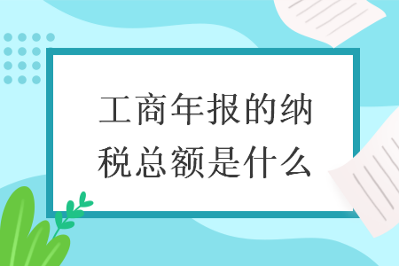 工商年报的纳税总额是什么