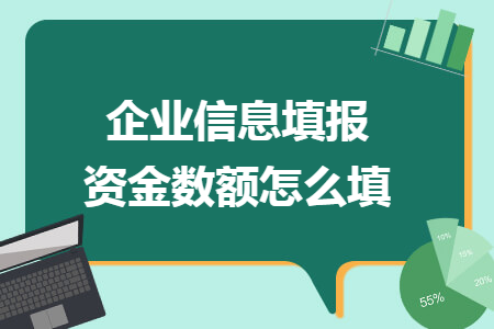 企业信息填报资金数额怎么填