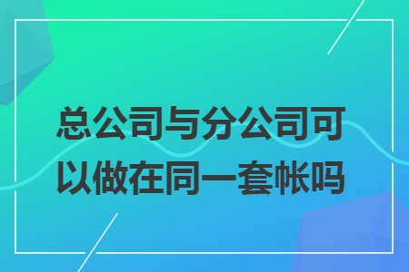 总公司与分公司可以做在同一套帐吗