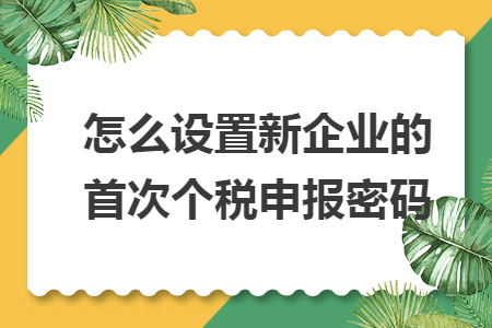 怎么设置新企业的首次个税申报密码