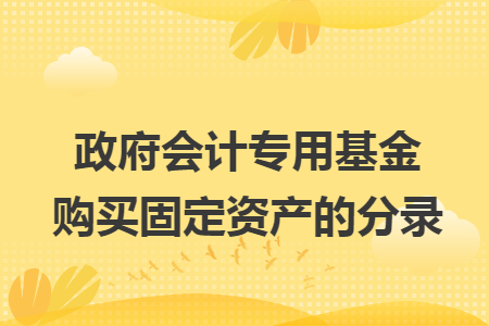 政府会计专用基金购买固定资产的分录