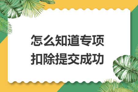 怎么知道专项扣除提交成功