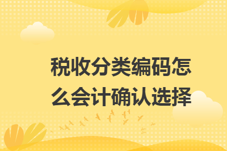 税收分类编码怎么会计确认选择