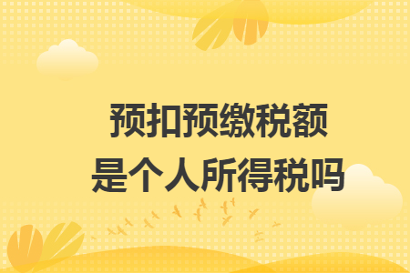 预扣预缴税额是个人所得税吗