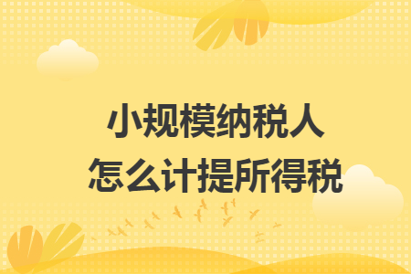 小规模纳税人怎么计提所得税