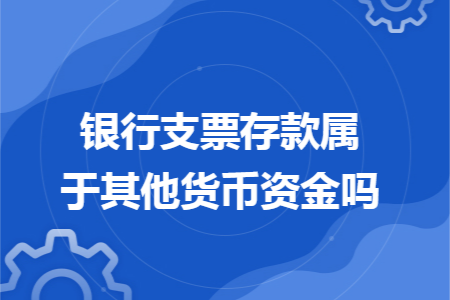 银行支票存款属于其他货币资金吗