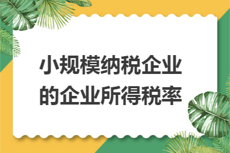 小规模纳税企业的企业所得税率