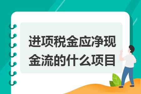 进项税金应净现金流的什么项目