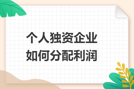 个人独资企业如何分配利润