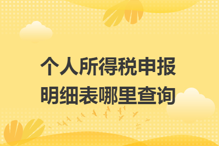 个人所得税申报明细表哪里查询