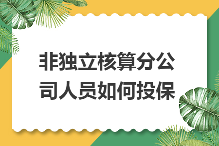 非独立核算分公司人员如何投保