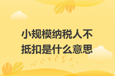 小规模纳税人不抵扣是什么意思