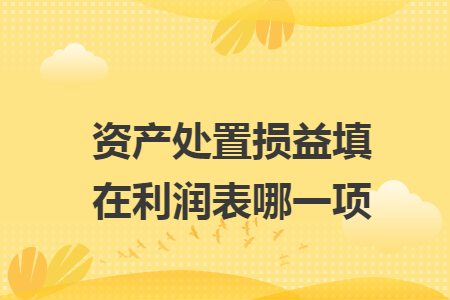 资产处置损益填在利润表哪一项