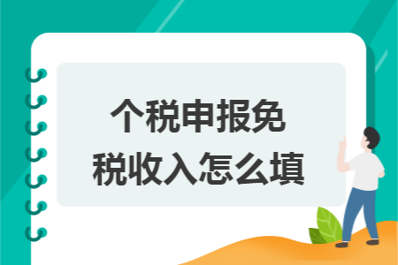 个税申报免税收入怎么填