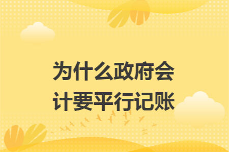 为什么政府会计要平行记账