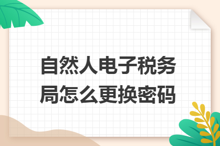 自然人电子税务局怎么更换密码