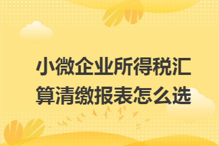 小微企业所得税汇算清缴报表怎么选