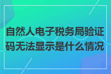 自然人电子税务局验证码无法显示是什么情况