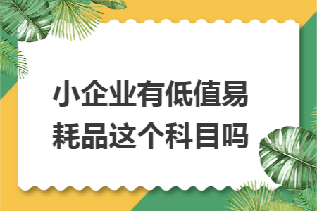 小企业有低值易耗品这个科目吗