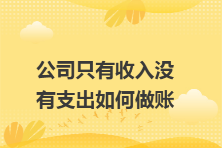 公司只有收入没有支出如何做账