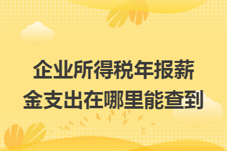 企业所得税年报薪金支出在哪里能查到