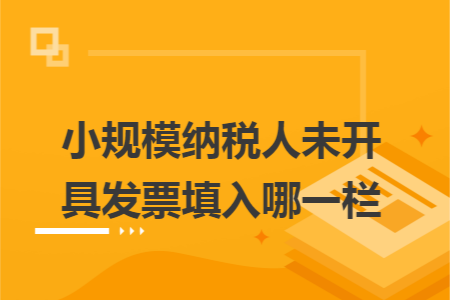 小规模纳税人未开具发票填入哪一栏