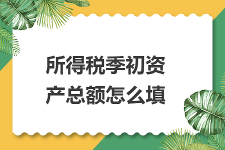 所得税季初资产总额怎么填