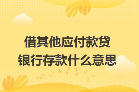 借其他应付款贷银行存款什么意思