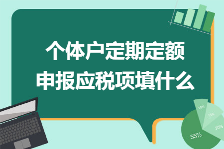 个体户定期定额申报应税项填什么