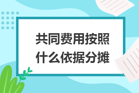 共同费用按照什么依据分摊