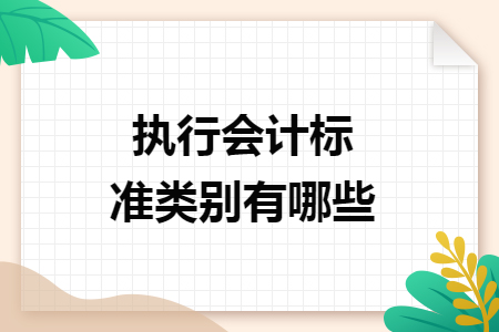 执行会计标准类别有哪些