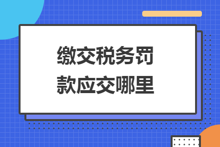 缴交税务罚款应交哪里