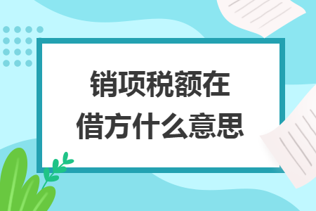 销项税额在借方什么意思