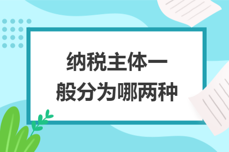 纳税主体一般分为哪两种