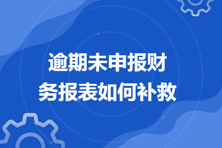 逾期未申报财务报表如何补救