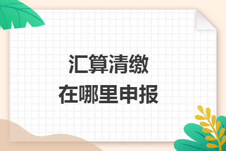 汇算清缴在哪里申报