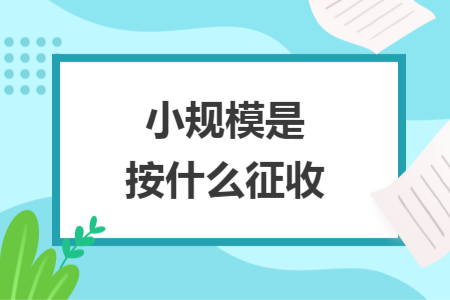 小规模是按什么征收